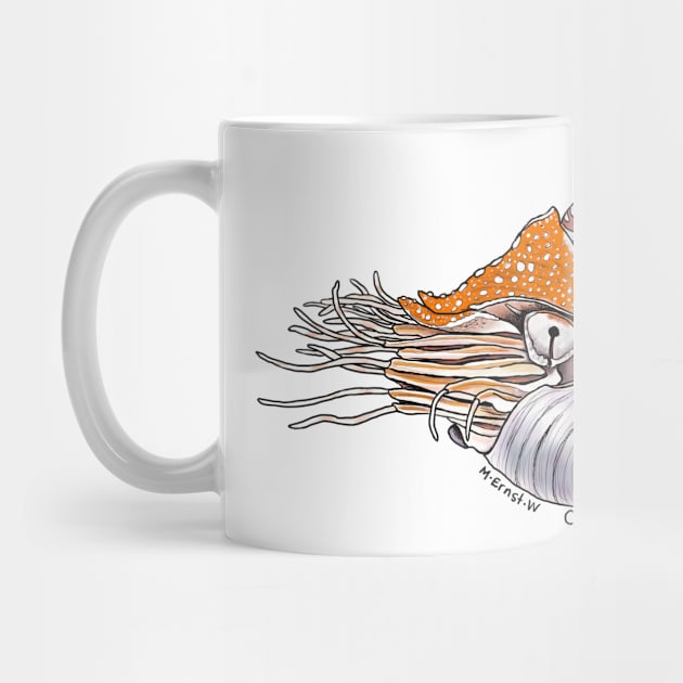 Chambered Nautilus - white by mernstw